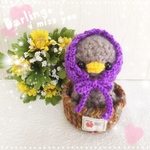 あみぐるみ🧶頭巾をかぶったヒナドリちゃん🐣