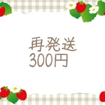 再発送ページ