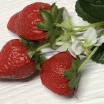 💖shirayann様専用でございます💖