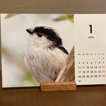 【卓上】2022 かわいい野鳥カレンダー