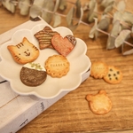 🎃twilight999様専用ページ🍪