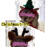 再販】クリスマスセット②.トナカイ.ツリー.12月.ニット帽.猫.被り物.コスプレ.