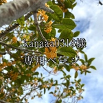 kanaaa0318様専用ページ