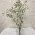 エモフラ　かすみ草　ドライフラワー