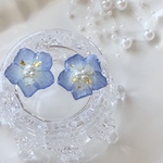 花を身につけるピアス　〜ネモフィラ〜