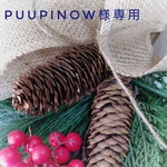 puupinow様専用クリスマススワッグ