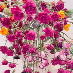 薔薇ドライフラワー　ハーバリウム花材　プリザーブドフラワー花材