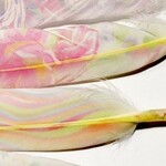 プリント羽根　　１０枚セット　　ハンドメイド素材