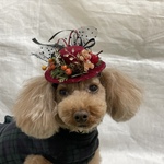 ペット用ミニハット🎄クリスマスバージョン(ワイン色×クリスマスモチーフ付き)