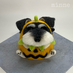 おやつくれぇ〜〜‼️🎃【シュナかぼちゃ2021年ver(S&P)大ちゃん・ハロウィン】