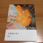 【水中写真ブック】うみのいろ1