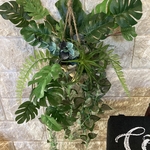 光触媒　人工観葉植物　ウォールグリーン　造花　アレンジ　モンステラとチランジア