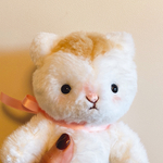 にゃこちゃん　a