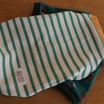 ラグランTシャツ*ワカバボーダー×はりねずみのハリー　ML
