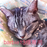 barbie13様専用 販売ページ