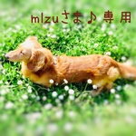 mlzuさま♪専用