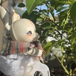 あったかストール🌸茶色