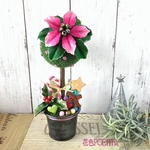 【💚再販】粘土花❄︎ピンクのポインセチア⋆柊＊フラワートピアリー🎶（22㎝）現品限り