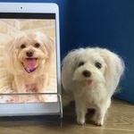  🍏購入手続きは、しないで下さい、サンプルです