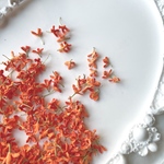  ［✨New］キンモクセイ　金木犀 ドライフラワー  