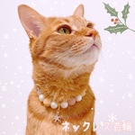 猫の首輪🐈クリスマス🎄ビーズ✨ネックレス首輪♡雪の結晶チャーム❄️