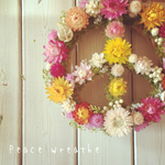 Peace wreathe