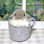 ☆ カップ入り ブロークン グレー ウサギ ☆