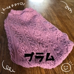 ハンドメイド✳︎犬服　タンクトップ　アラン風ニット　