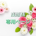 浅葱様専用ページ