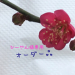 オーダー品💖