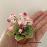 粘土の花＊小さなシクラメン＊