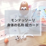 ☆モンテッソーリ☆身体絵カード
