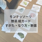 ☆モンテッソーリ ☆野菜 絵カード