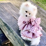 犬服【再販】　暖かふわもこボア　コーディロイとレースたっぷりティアードワンピース　ピンク系　犬ワンピース