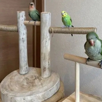 ⌘ リビング用・止まり木🐥 ⌘