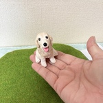 メモホルダーにもなるわんちゃん　ゴールデンレトリバー　犬　置物　オブジェ