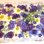 ♡new♡  ♡可愛い押し花セット♡ ♡たくさん入って使いやすい押し花セット♡