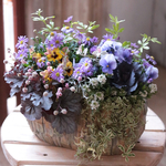 ビオラのバグウォームポット花束植えE