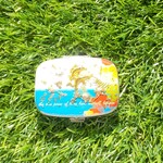 南国　リゾート！ツイン　いるか　ピルケース（ミラー付）