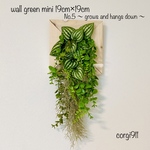 ウォールグリーンmini⑤ 19cm×19cm ※光触媒加工※