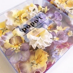 ビオラとお花のBOX