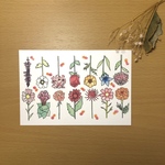【秋の花】ポストカード 水彩絵の具 2枚セット