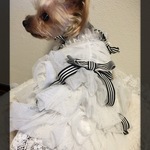 犬服 オーダー　マイフェアードレス