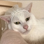 KK様専用ページ