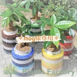 mog様専用の商品ページです♡