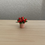 ポインセチア　ミニミニテラコッタ鉢　ナ