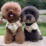 犬服　中型犬小型