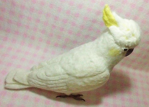 ほぼリアルサイズ♪ コバタン(コキサカオウム・キバタンに変更可能 ほぼリアルサイズ♪ コバタン(コキサカオウム・キバタンに変更可能