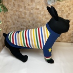 犬服中型犬FBLサイズ　ラグラン袖Ｔシャツ