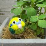 羊毛フェルトのインコ
